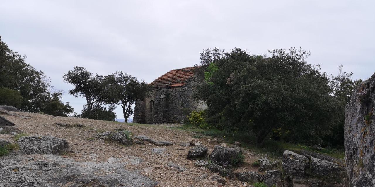 Saint-Saturnin-de-Lucian Le Mimosa Bed & Breakfast エクステリア 写真