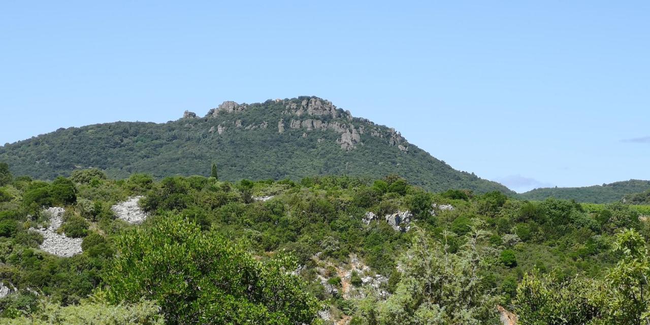 Saint-Saturnin-de-Lucian Le Mimosa Bed & Breakfast エクステリア 写真