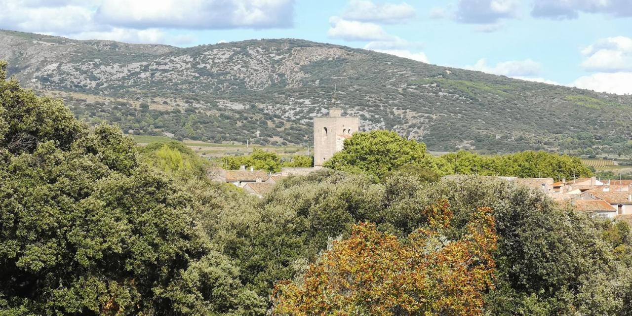 Saint-Saturnin-de-Lucian Le Mimosa Bed & Breakfast エクステリア 写真