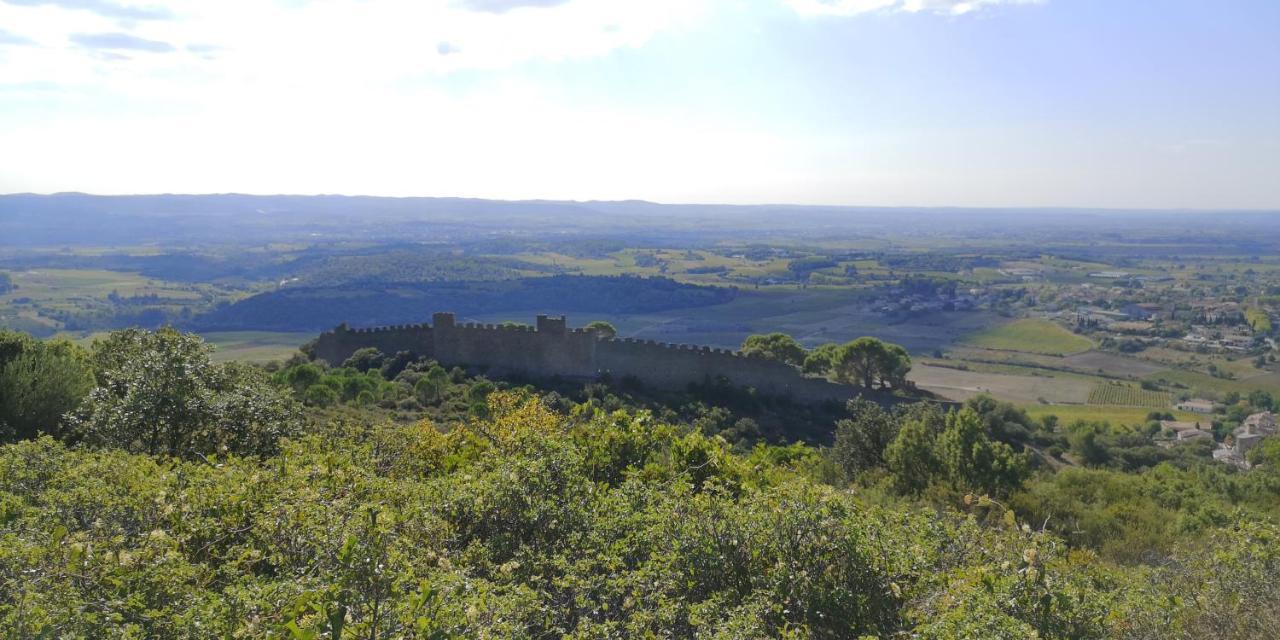 Saint-Saturnin-de-Lucian Le Mimosa Bed & Breakfast エクステリア 写真