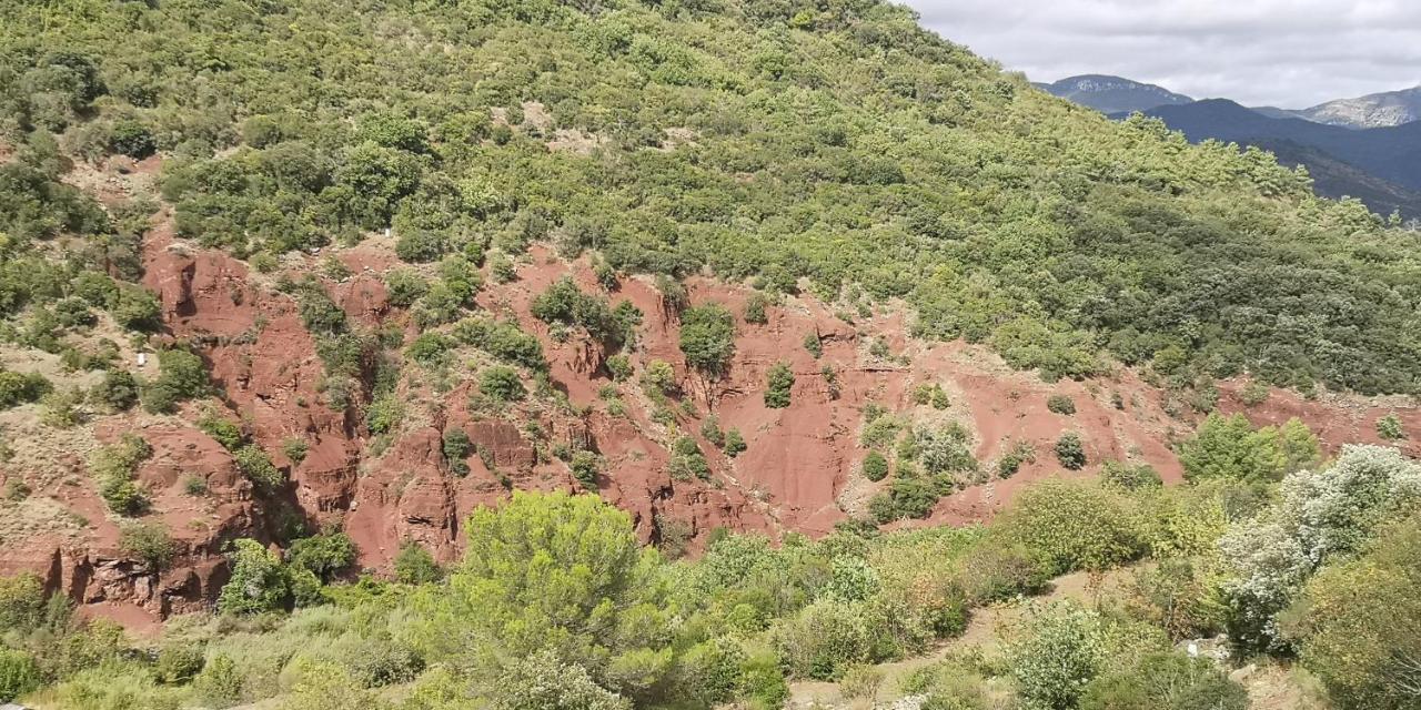 Saint-Saturnin-de-Lucian Le Mimosa Bed & Breakfast エクステリア 写真
