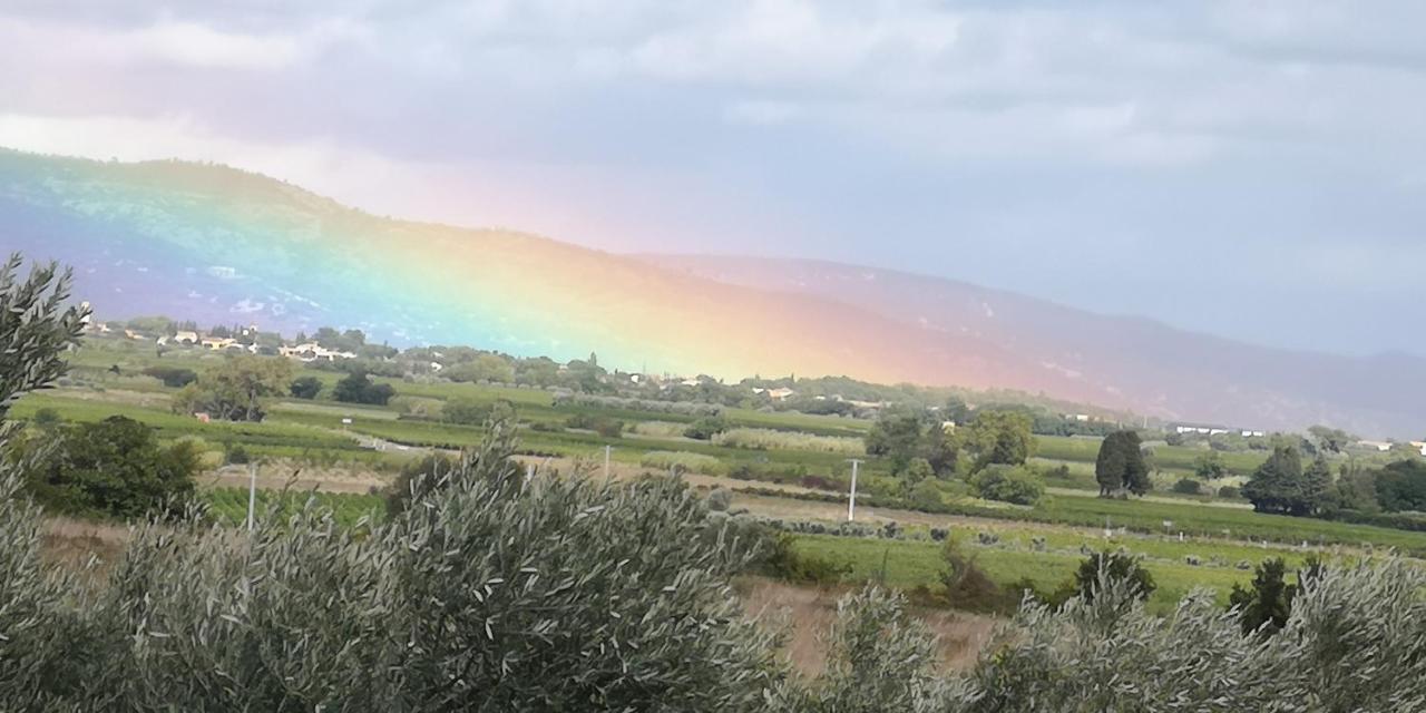 Saint-Saturnin-de-Lucian Le Mimosa Bed & Breakfast エクステリア 写真