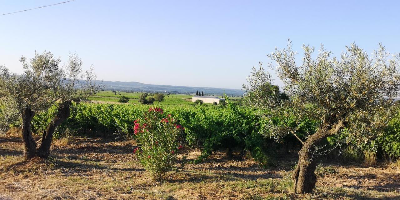 Saint-Saturnin-de-Lucian Le Mimosa Bed & Breakfast エクステリア 写真