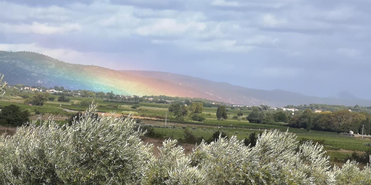 Saint-Saturnin-de-Lucian Le Mimosa Bed & Breakfast エクステリア 写真