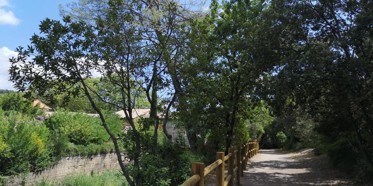 Saint-Saturnin-de-Lucian Le Mimosa Bed & Breakfast エクステリア 写真