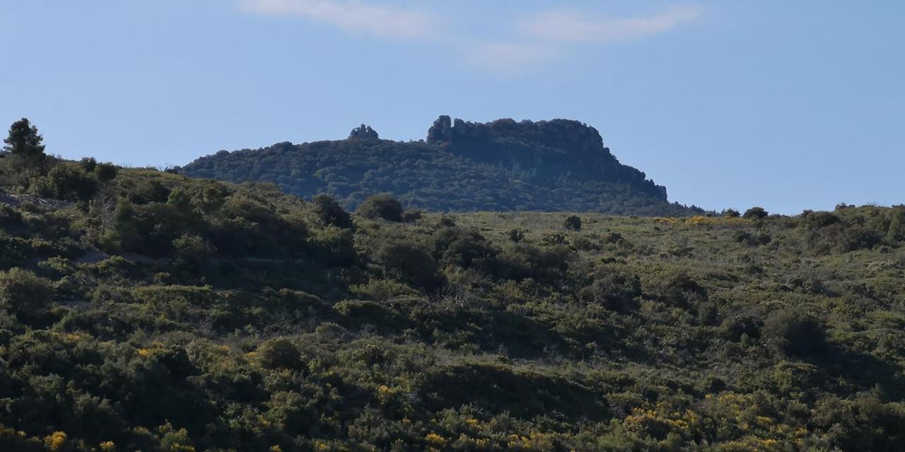 Saint-Saturnin-de-Lucian Le Mimosa Bed & Breakfast エクステリア 写真