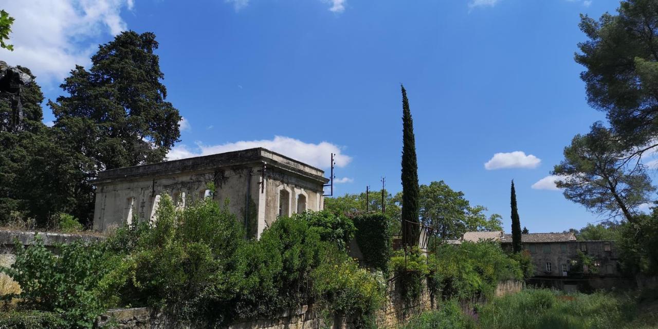 Saint-Saturnin-de-Lucian Le Mimosa Bed & Breakfast エクステリア 写真