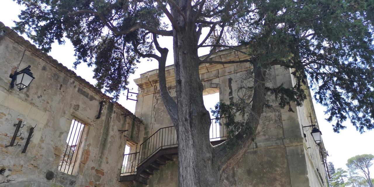 Saint-Saturnin-de-Lucian Le Mimosa Bed & Breakfast エクステリア 写真
